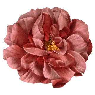 Sticker from Retro flowers