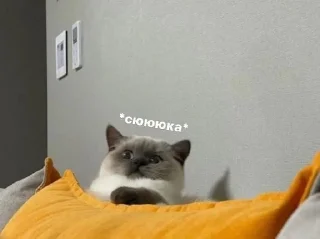 😳 emoji накрило як треба Telegram sticker 22 of 72