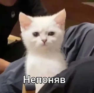 😕 emoji накрило як треба Telegram sticker 18 of 72