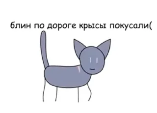 🌟 emoji Warriors бош Telegram sticker 8 of 52