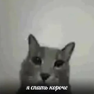 🥱 emoji плюс вайп Telegram sticker 14 of 17