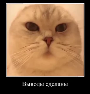 Sticker from Демотиваторы