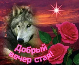 Sticker from yeah