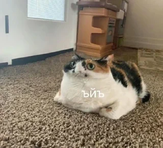 🙃 emoji Мем Telegram sticker 16 of 120