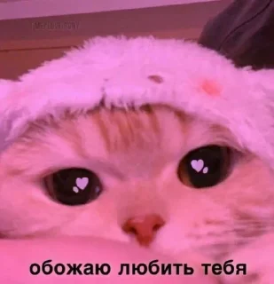 🌟 emoji котики Telegram sticker 2 of 76