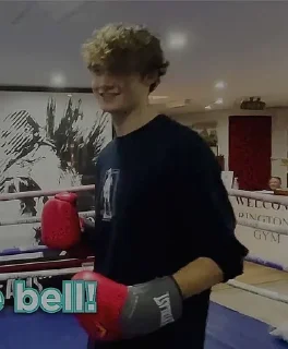 🥊 emoji вилба Telegram sticker 22 of 115