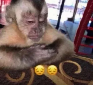 🐵 emoji 🐵 TG | İnsta : @Xaliqmustafayev  👨🏻‍💻 @Xaliqq Telegram sticker 3 of 25
