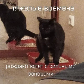 🥵 emoji Люся и все-все-все Telegram sticker 5 of 118