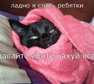 🥱 emoji Люся и все-все-все Telegram sticker 16 of 118
