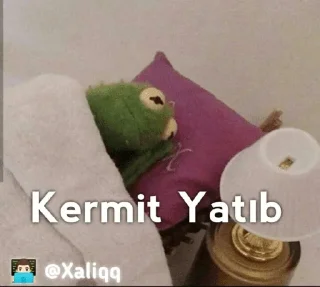 😴 emoji Kermit Mood 💫 | 👨🏻‍💻 @Xaliqq Telegram sticker 15 of 30