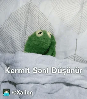 💓 emoji Kermit Mood 💫 | 👨🏻‍💻 @Xaliqq Telegram sticker 22 of 30