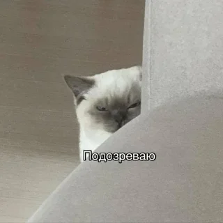 😓 emoji Жиза Telegram sticker 14 of 87
