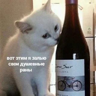 🥵 emoji Жиза Telegram sticker 12 of 87