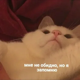 😰 emoji Жиза Telegram sticker 17 of 87