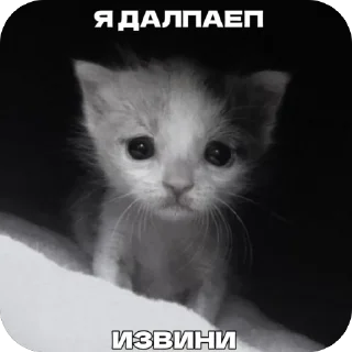Sticker from Сим силябим@matriXX16