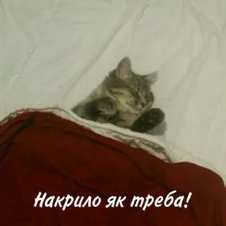 Sticker from накрило як треба