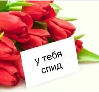 🌪 emoji дочь хуйни Telegram sticker 19 of 104