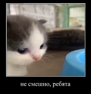 😞 emoji Демотиваторы Telegram sticker 20 of 35