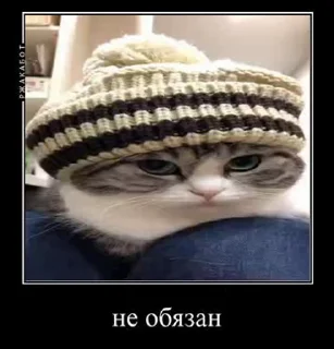 🙅 emoji Демотиваторы Telegram sticker 24 of 35
