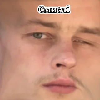 Sticker from Вовка небритая машонка