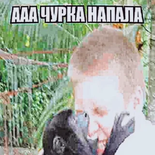 😱 emoji дура ебарая by @trmad0ll трама Telegram sticker 13 of 51