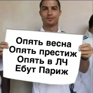 🌟 emoji Свинья Telegram sticker 8 of 13