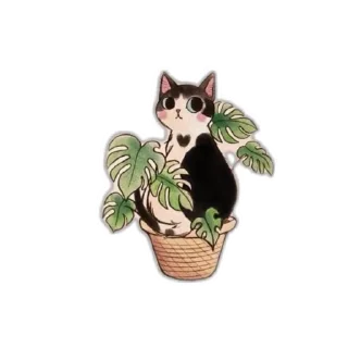 🥺 emoji Divamavia.plants : Telegram sticker 24 of 49