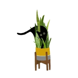 Sticker from Divamavia.plants :