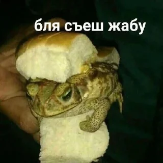Sticker from жабья нора.