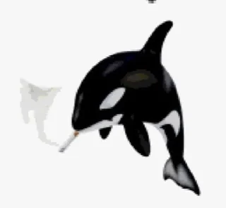 🌟 emoji MEMES2 Telegram sticker 14 of 81