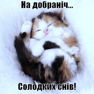 😴 emoji Kitty Telegram sticker 5 of 31