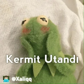 😳 emoji Kermit Mood 💫 | 👨🏻‍💻 @Xaliqq Telegram sticker 20 of 30