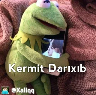 ✨ emoji Kermit Mood 💫 | 👨🏻‍💻 @Xaliqq Telegram sticker 4 of 30