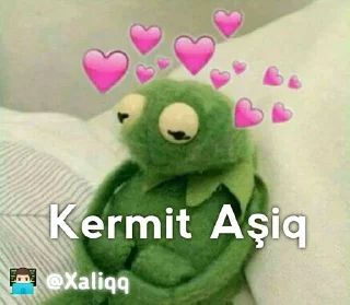 💓 emoji Kermit Mood 💫 | 👨🏻‍💻 @Xaliqq Telegram sticker 8 of 30