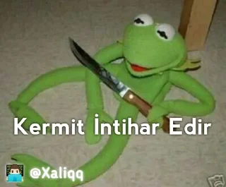 ☠️ emoji Kermit Mood 💫 | 👨🏻‍💻 @Xaliqq Telegram sticker 9 of 30