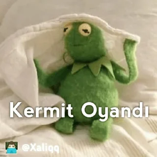 🥱 emoji Kermit Mood 💫 | 👨🏻‍💻 @Xaliqq Telegram sticker 16 of 30