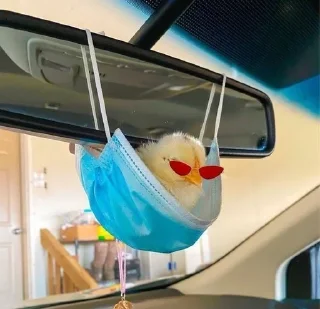 😎 emoji Животные Telegram sticker 13 of 73