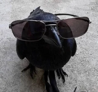 😎 emoji Животные Telegram sticker 14 of 73