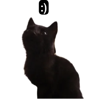 Sticker from Бобр як сенс життя