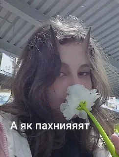 Sticker from Лучшие