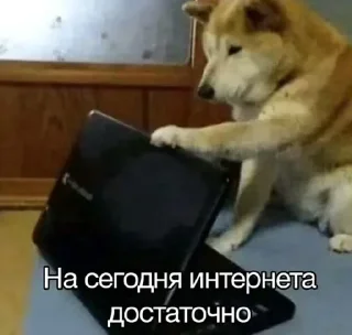 🌟 emoji Заебавшиеся коты 2 Telegram sticker 2 of 120