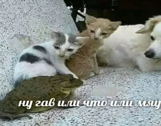 🌟 emoji Заебавшиеся коты 2 Telegram sticker 18 of 120