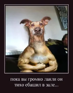 Sticker from Пес ебани