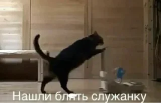 😪 emoji Жиза Telegram sticker 9 of 87