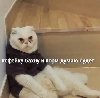 😷 emoji Жиза Telegram sticker 15 of 87