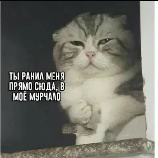 😰 emoji Жиза Telegram sticker 20 of 87