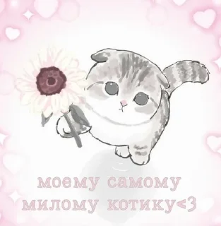 ❤️ emoji китис Telegram sticker 5 of 120