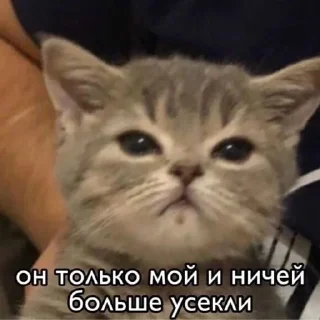 😒 emoji китис Telegram sticker 24 of 120