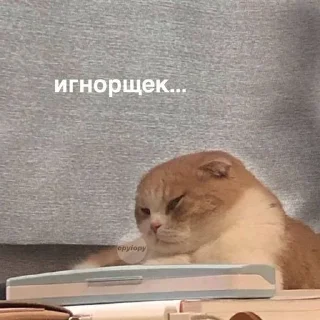 😒 emoji китис Telegram sticker 21 of 120