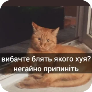 👍 emoji мняв Telegram sticker 24 of 103